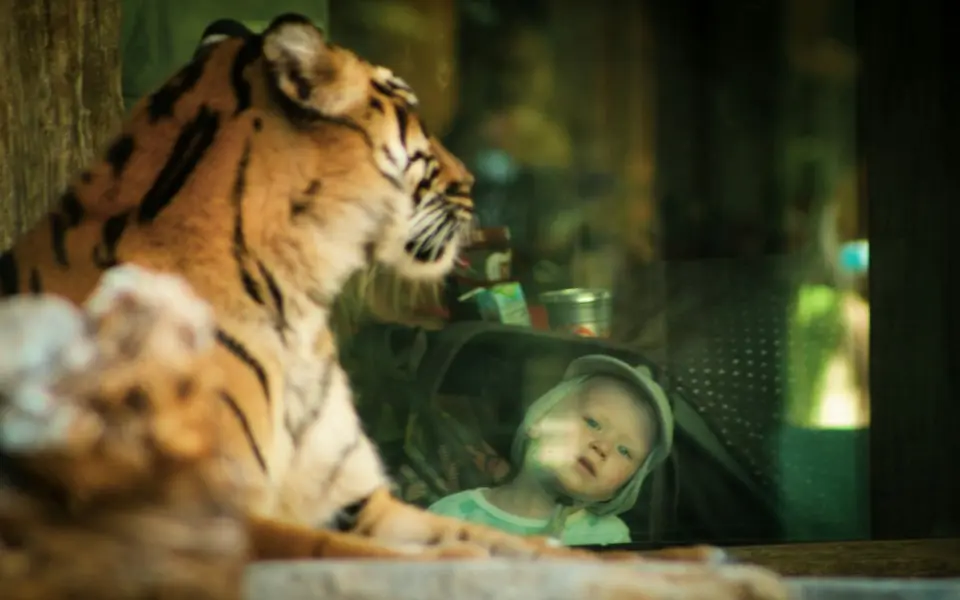 Los Angeles Zoo & Botanical Gardens