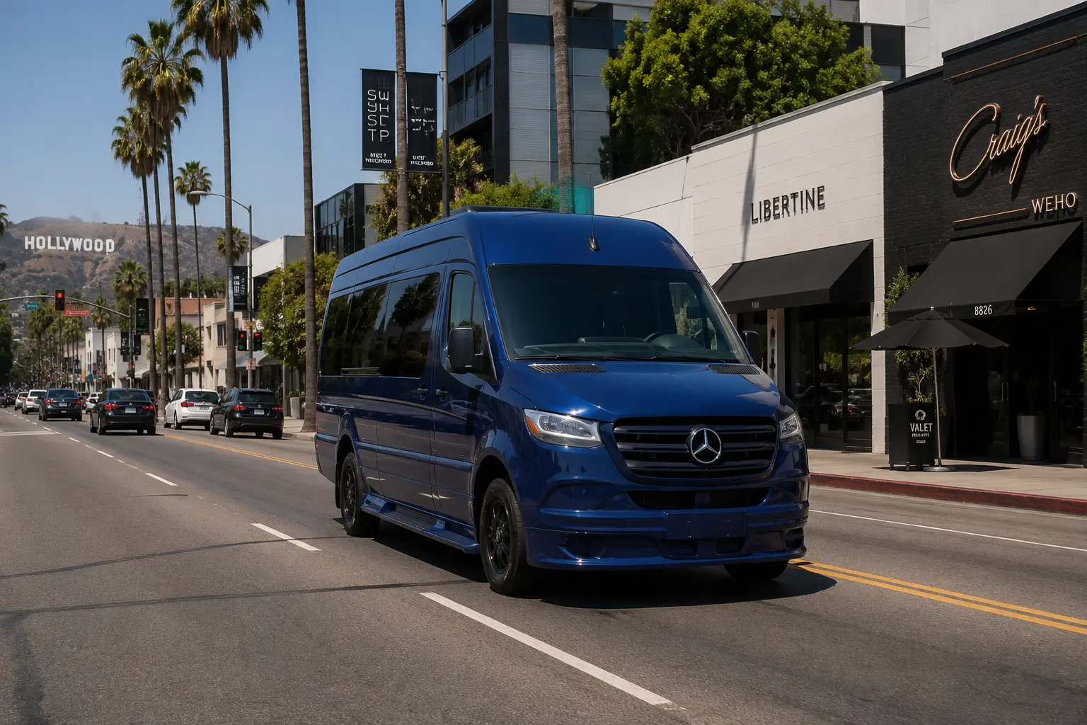 Blue Luxury Sprinter Shuttle Van