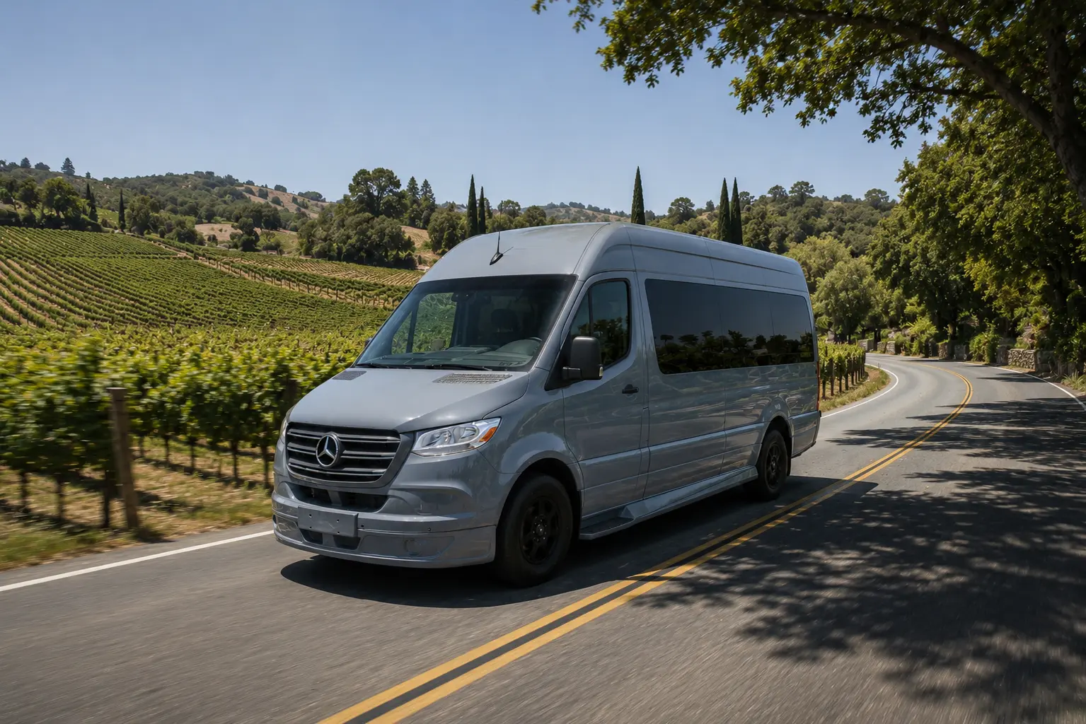 Gray Luxury Sprinter Shuttle Van
