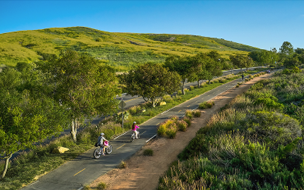 Quail Hill and Shady Canyon Trails