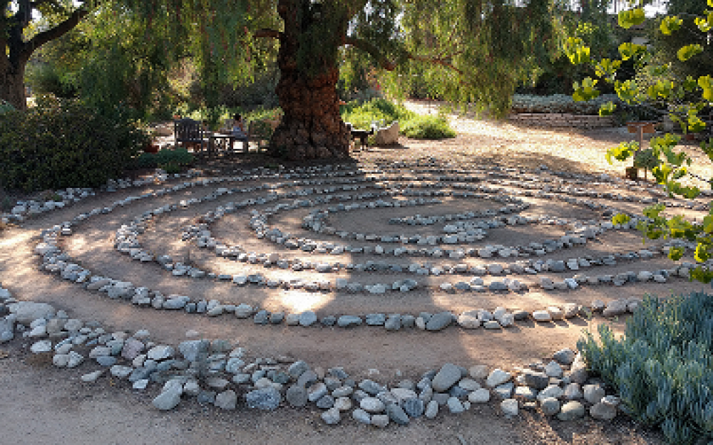 Arlington Garden