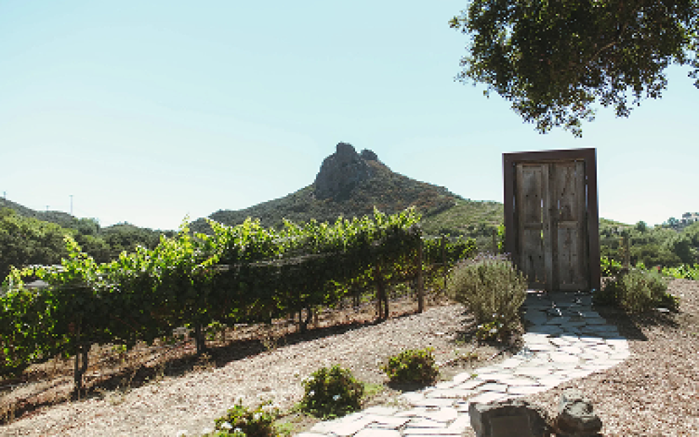 Malibu Wines & Safari