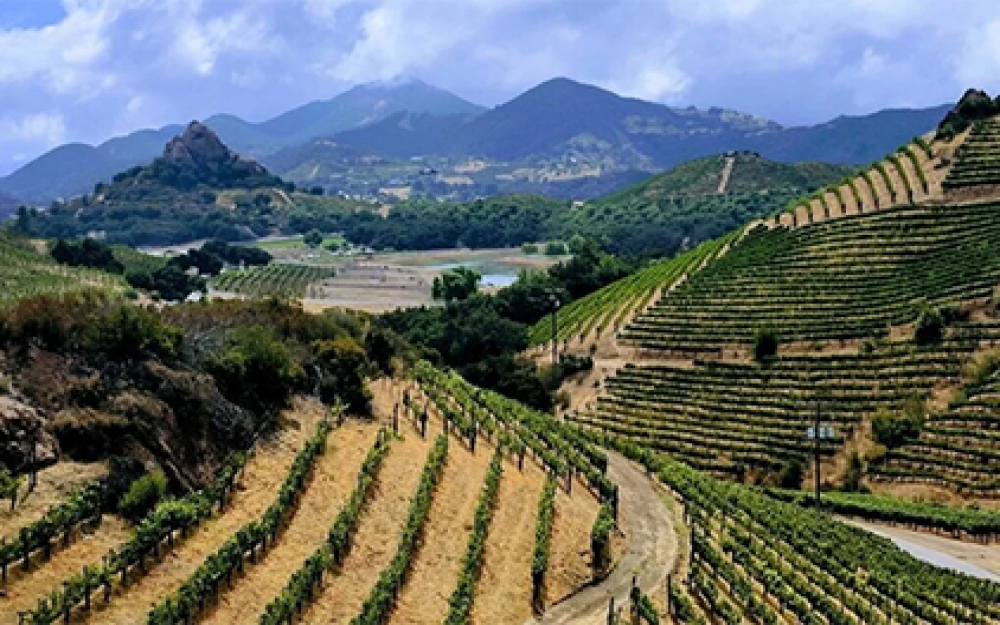 Malibu Wines / Saddlerock Ranch