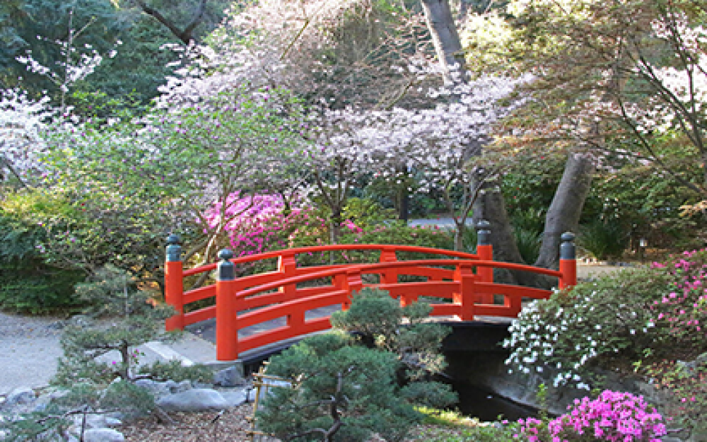 Descanso Gardens
