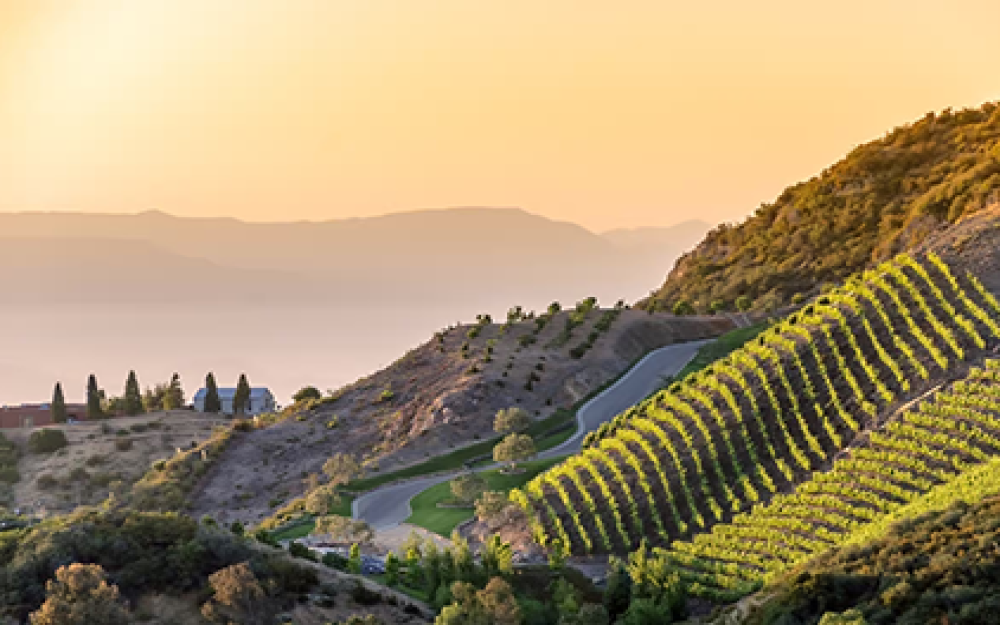 Malibu Wine Country