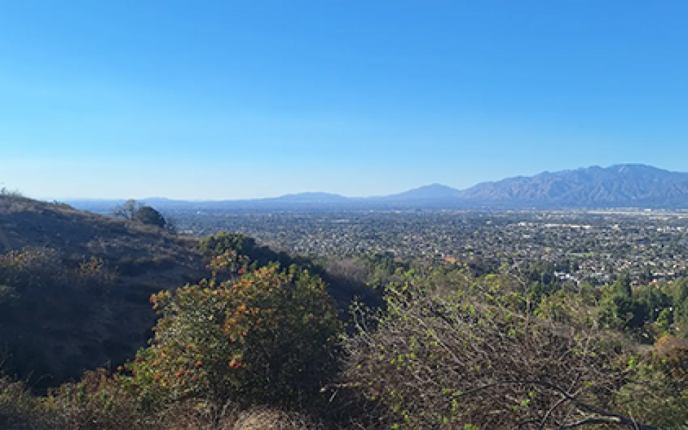 Galster Wilderness Park
