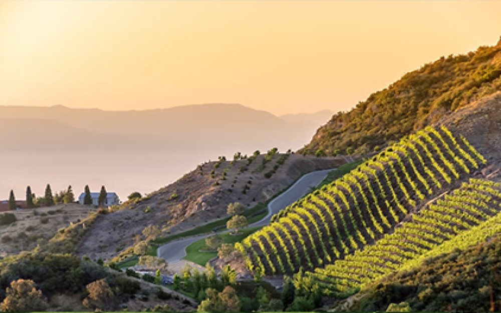 Malibu Wine Country (nearby)